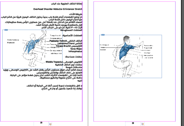 كتاب الايطالات الشامل E-Book