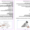 كتاب الايطالات الشامل E-Book