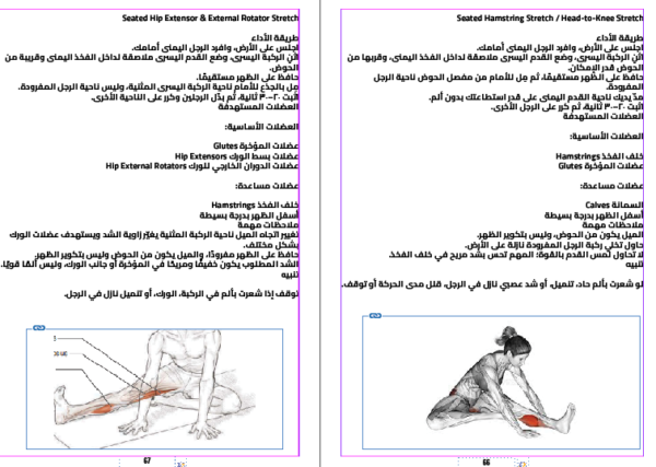 كتاب الايطالات الشامل E-Book