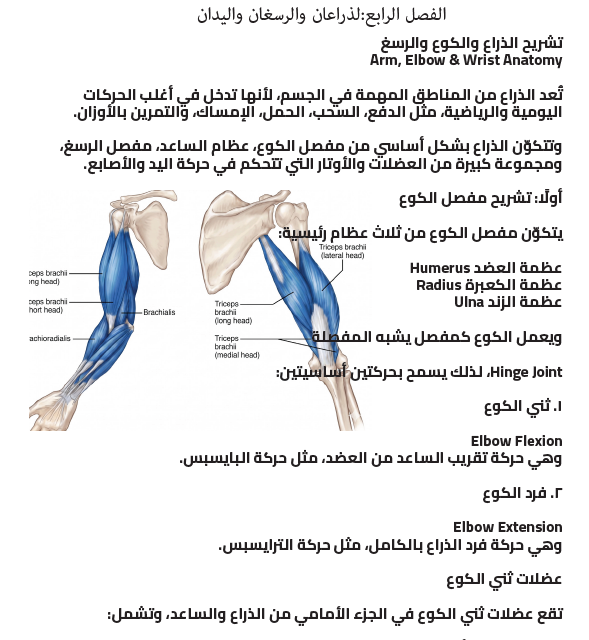 كتاب الايطالات الشامل E-Book