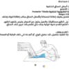 كتاب الايطالات الشامل E-Book