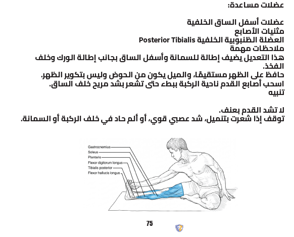 كتاب الايطالات الشامل E-Book